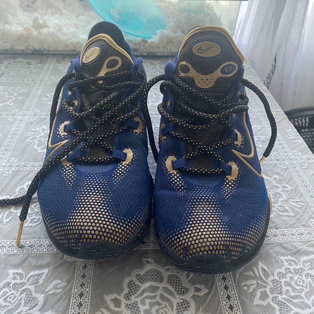 Nile Air Zoom BB NXT basketball shoes